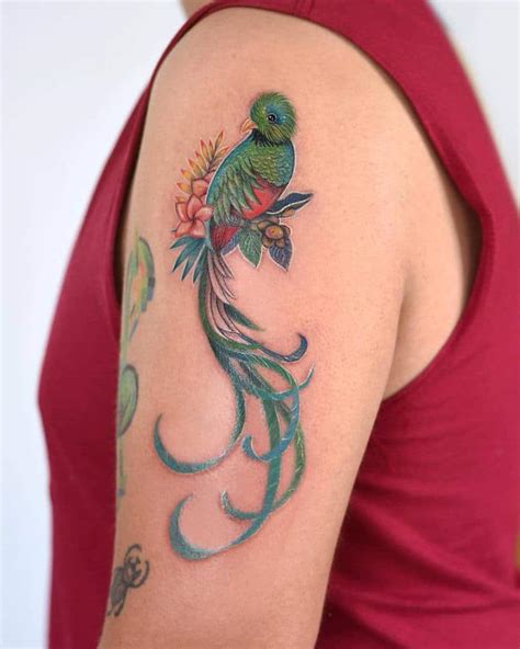 quetzal bird tattoos designs howtotieabowonpantsstepbystep