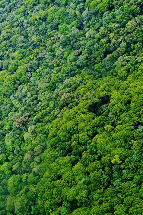 A Spectacular Aerial View Of The Kilambe National Preserve In Nicaragua