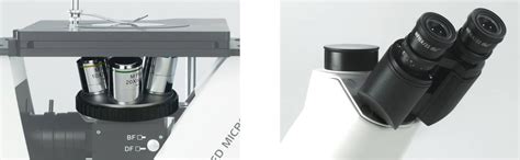 Inverted Metallurgical Microscope Modelmds400 Series Metallurgical