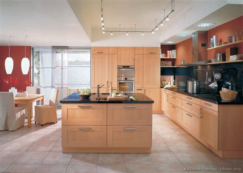 Blue paint flaunts the wood grain on these cabinets in this lovely open kitchen by ivan. Modern Light Wood Kitchen Cabinets - Pictures & Design Ideas