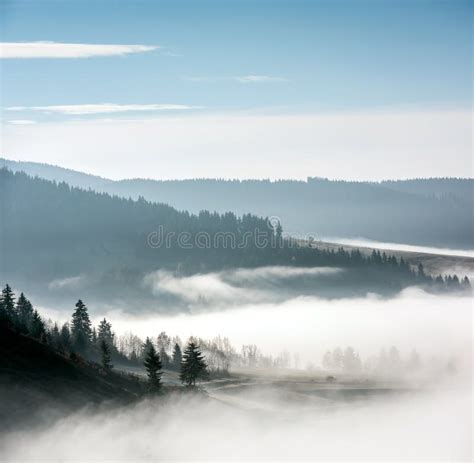 Foggy Landscape Stock Image Image Of Calm Foliage 62433279