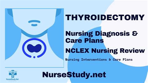 Thyroidectomy Nursing Diagnosis And Nursing Care Plan Nursestudynet