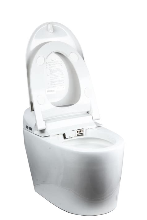Euroto 2021 New One-Piece Dual Flush Toilet with Integrated Bidet, Integrated Bidet and Toilet ...