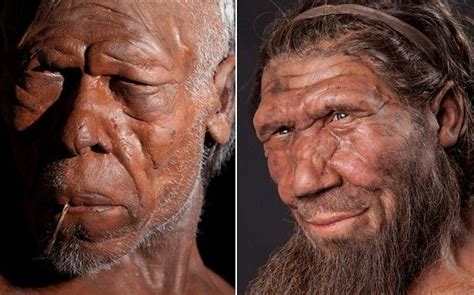 Meet The Ancestors Best Ever Reconstruction Of Early Humans And