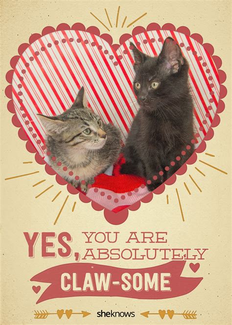 12 kitty cat valentine s day cards that will make you aww sheknows