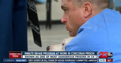Inmate Rehab Program At Work In Corcoran Prison
