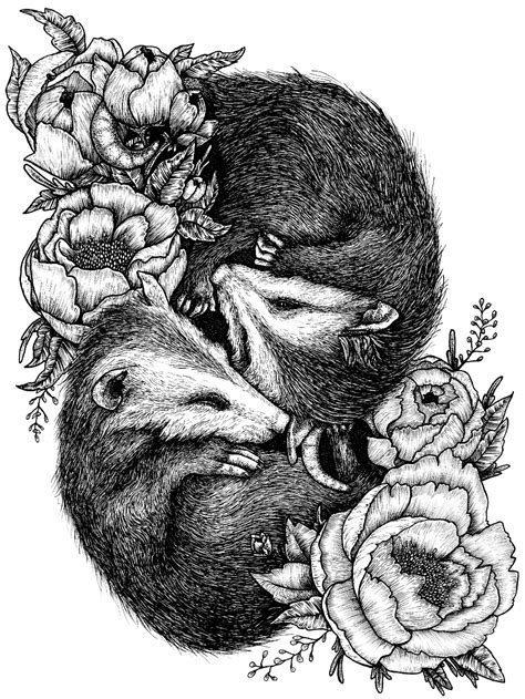 Opossum Babies Print — Greene River Studio Opossum Tattoo Drawings