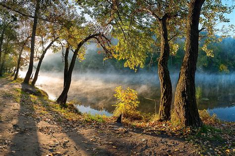 Hd Wallpaper River Between Green Leafed Trees During Daytikme Time