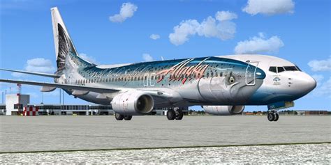 25 Of The Best Aircraft Livery Designs Show Planes Have A Sense Of