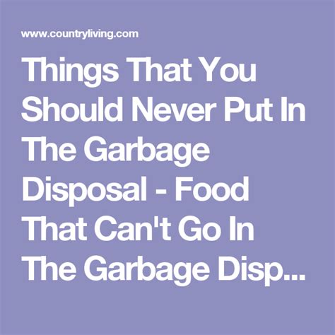 8 Things You Should Never Put Down Your Garbage Disposal Garbage