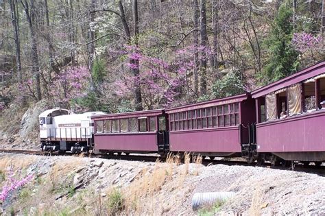 The Scenic Train Ride In Kentucky That Runs Year Round