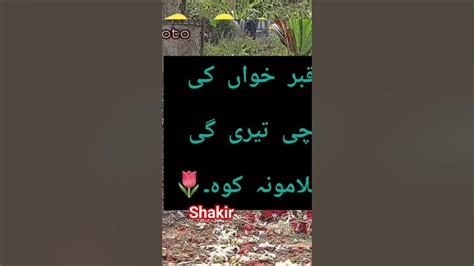 Pashto Nazam💞 Youtube