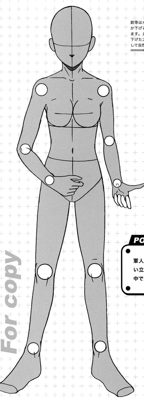 See more ideas about female bodies, anatomy reference, female anatomy. 29 best Anime How - To's: Full Body Base images on ...