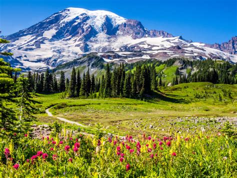 Washington Travel Guide Travel Tips For Visiting The Evergreen State