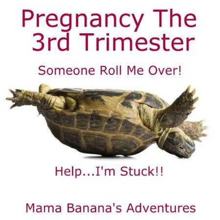 Cheering Up With Some Funny Pregnancy Memes Babycentre