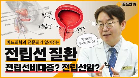 전립선의 역할과 전립선비대증 발병 원인 증상과 치료 방법 전립선암 조직검사 방법 youtube