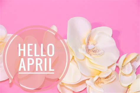 Banner Hello April Hi Spring The Second Month Of Spring Stock Photo