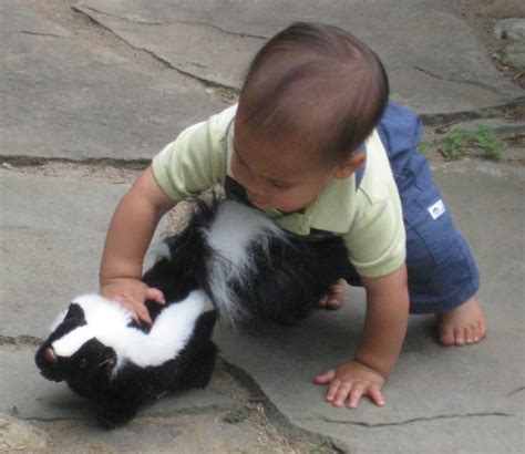 I am selling my beautiful pet skunk. 2012 June Some Blog Site