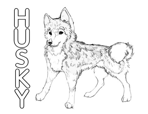Cute Husky Puppies Coloring Pages Cute Husky Puppies Dog Coloring