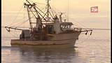 Repossessed Trawlers For Sale