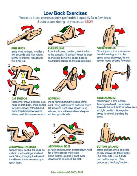 9 Stretches In 9 Minutes For Complete Lower Back Pain Relief Healthy