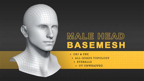 Artstation Male Head Basemesh Resources