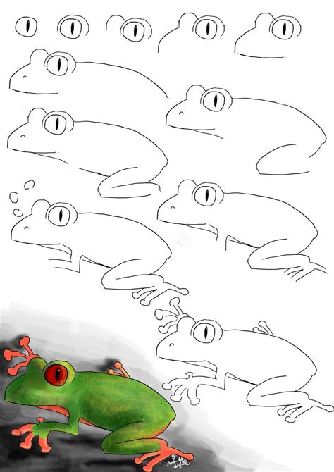 How To Draw A Frog By Animands On Deviantart Frog Drawing Art