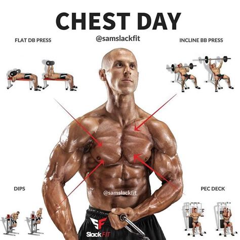 Pin By Chrisvo On Fitnessbodybuilding Best Chest Workout Workout