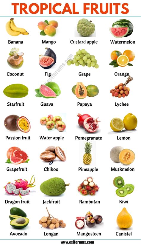 Food Names In English Fruits Name In English Fruits And Vegetables