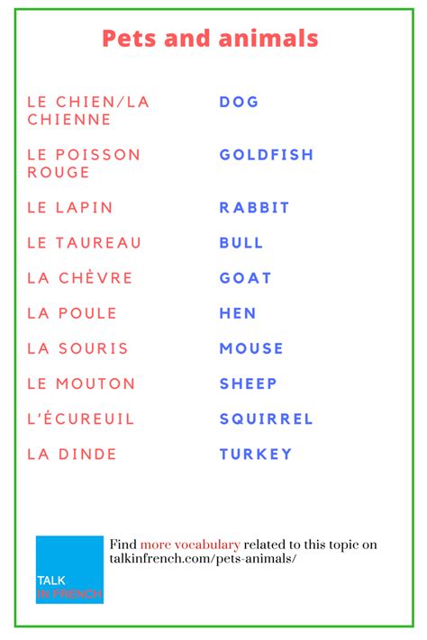A friend of mine used to call me this for french people love to call each other french nicknames and french pet names using animals. French Vocab: Pets And Animals | Learn french, French ...