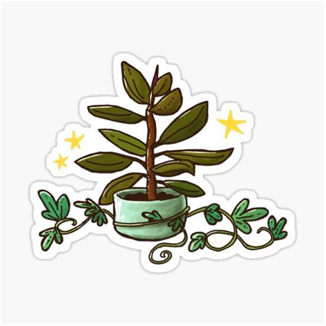 Rubber Plant In Pot And Tangled Up With Vines Illustration From The