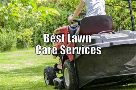 Pro mow lawn care is the perfect name for this company. The Best Lawn Care & Yard Cleaning Services Near Me and You