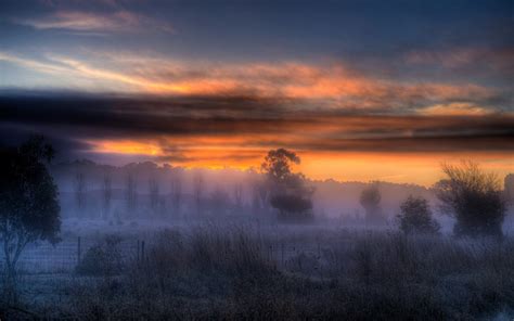 1600x1000 Photography Nature Landscape Morning Mist Shrubs Trees Sky