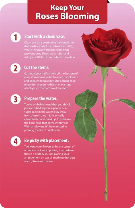 Follow These Expert Tips To Make Your Valentines Day Flowers Last