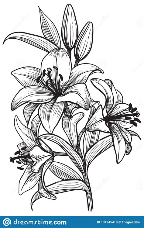 Lilly Flower Drawing Lilies Drawing Lily Flower Tattoos Flower Line