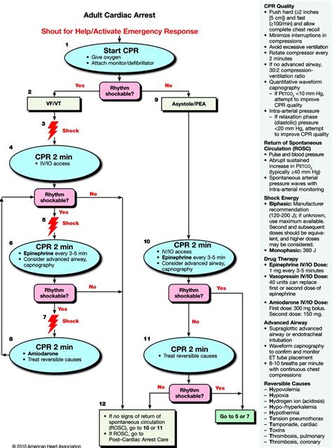 Cpr Blsacls Pediatric Advanced Life Support Acls Acls Algorithm