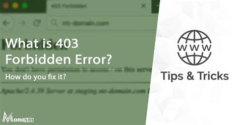 What Is 403 Forbidden Error How To Fix It Various Steps