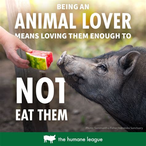 Being An Animal Lover Means Loving Them Enough Not To Eat Them