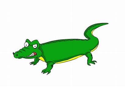 Alligator Crocodile Clipart Cartoon Clip Alligators Animated