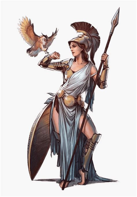 Athena Illustration Goddess Athena Greek Mythology Hd Png Download