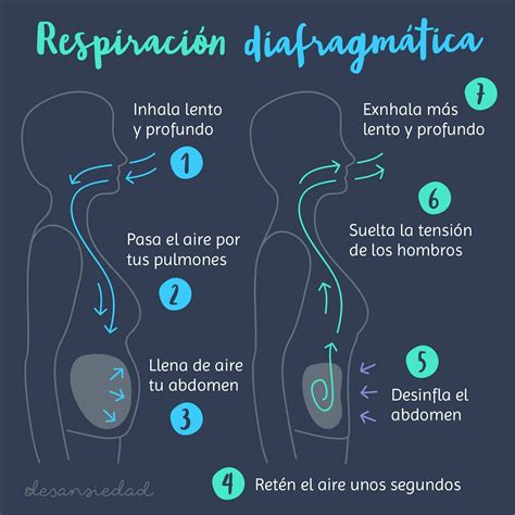 Respiración Diafragmática Respiracion y relajacion Tecnica de