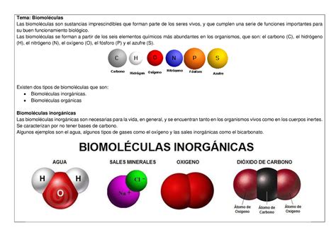 1ero Clase 8 Diciembre Primero Bgu Biología Biomoleculas