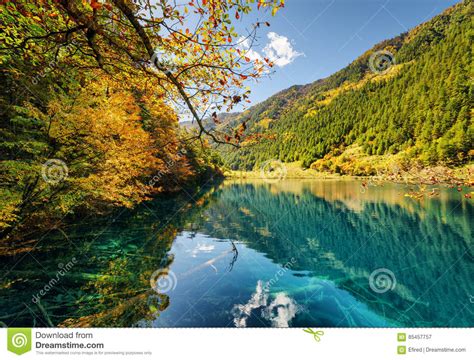 Fantastic View Of Lake With Submerged Tree Trunks Stock Image Image