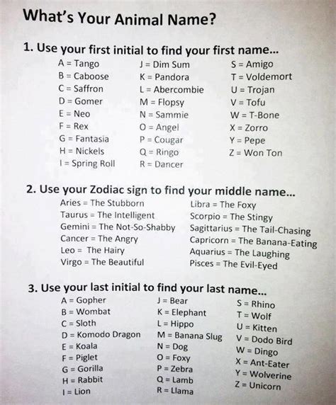 Whats Your Animal Name Rhinos What S And Dim Sum