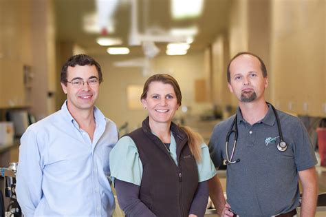 Our Team | Veterinary Surgical Specialists