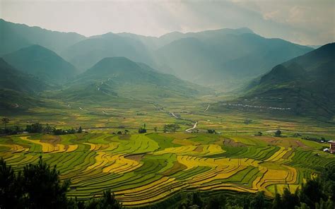 From middle english field, feeld, feld, from old english feld (field; Rice fields in Vietnam | i Tour Vietnam Blogs