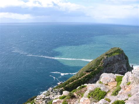 5 Reasons Why Cape Point Is One Of Natures Great Places Rhino Africa