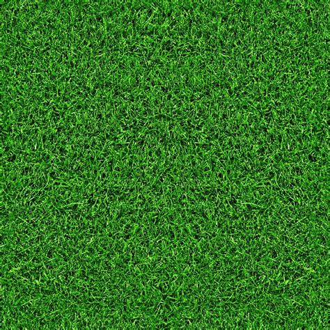 Grass Textures Grass Texture Seamless Grass Wallpaper