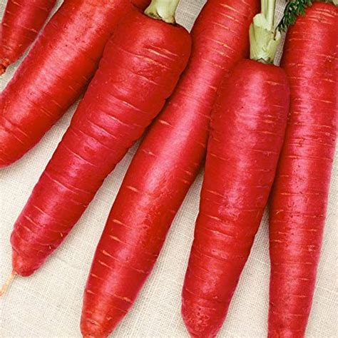 Red Carrot Vegetables Seeds Avg 50 100 Seeds X 4 Packet