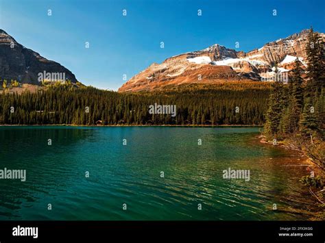 Lake Ohara Yoho National Park British Columbia Canada Stock Photo